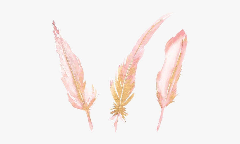 Feather Watercolor Pink Gold Watercolorfeather Sticker - Watercolor Painting, transparent png