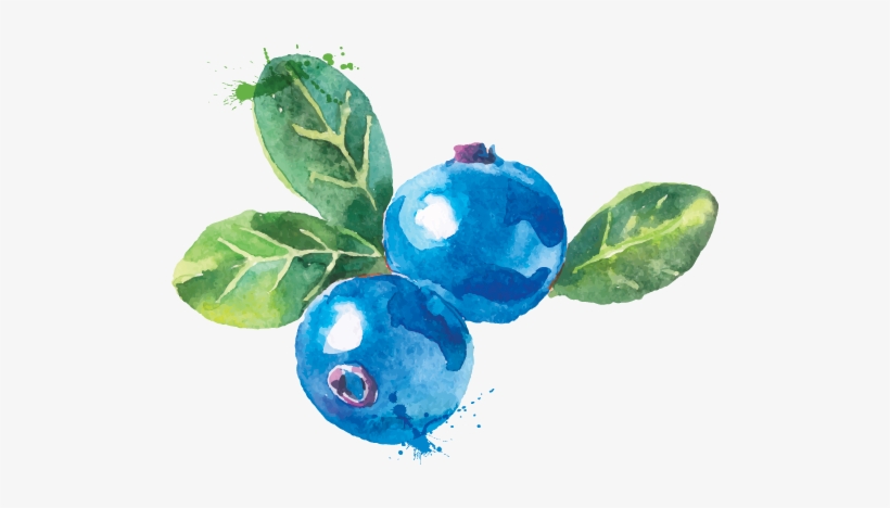 Attainable - Water Colour Blueberry Transparent Png, transparent png