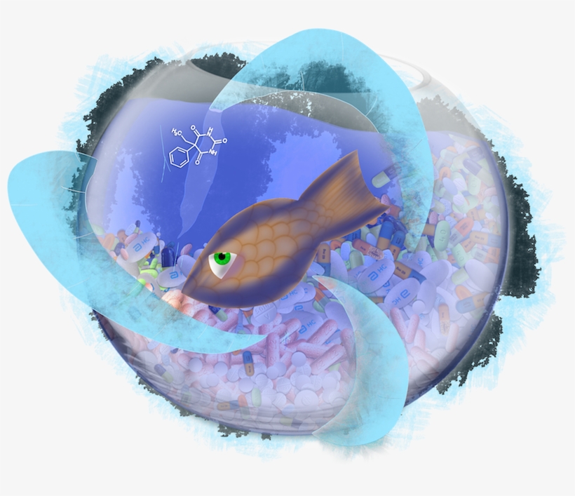 Frosted Fishbowl By Zoe & Dad Vogt-lowell - Father, transparent png