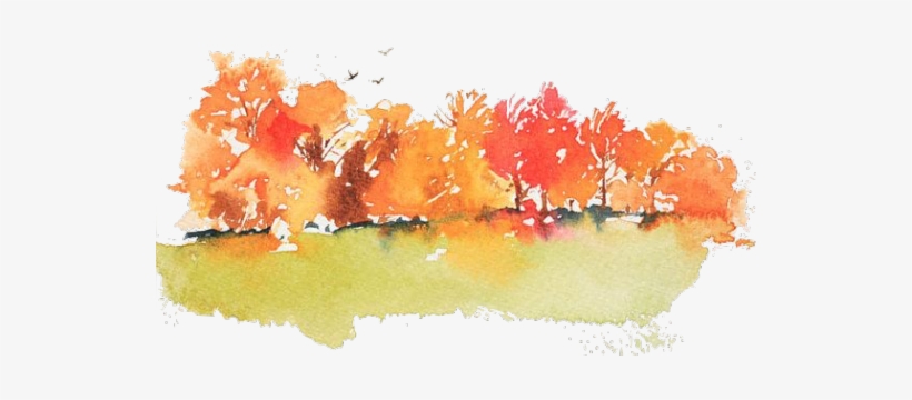As The Fall Equinox, It Is A Day In Which The Hours - Fall Tree Watercolor Painting, transparent png
