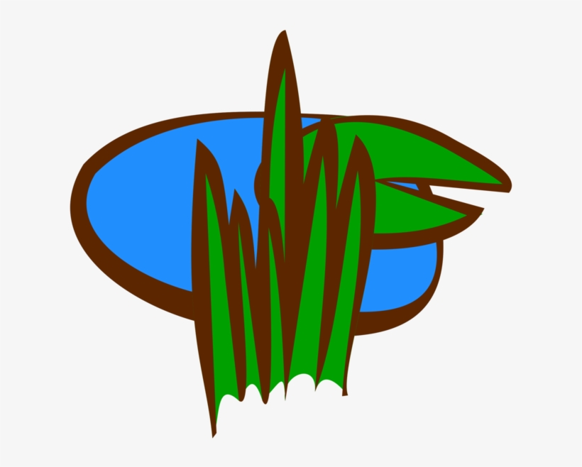 Salt Marsh Wetland Bog Swamp - Marsh Clipart, transparent png