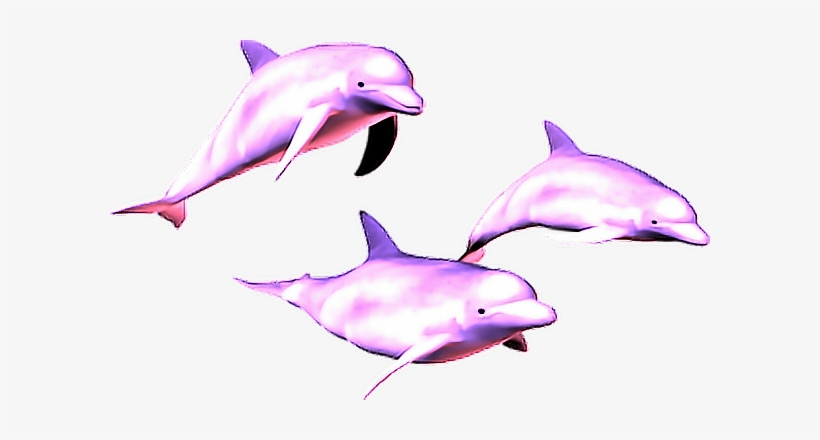 Vaporwave Aesthetic Dolphins - Vaporwave Dolphin, transparent png