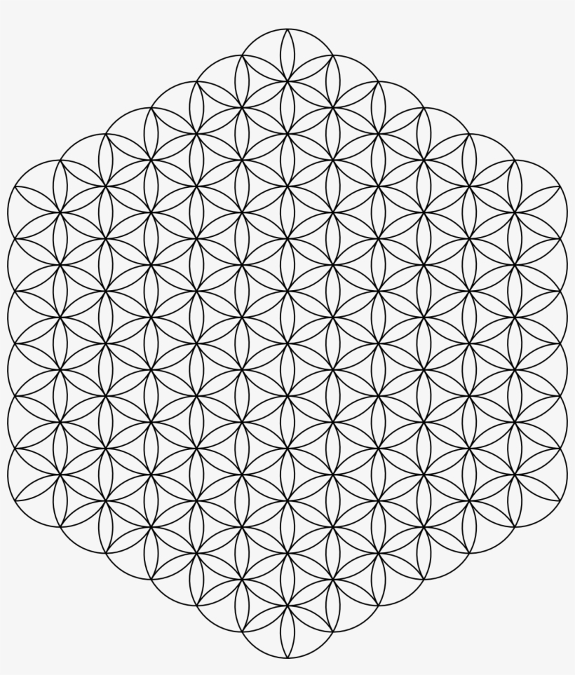 Flower Of Life Png, transparent png