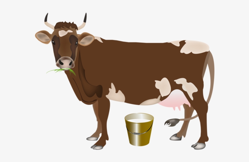 Vector Cow Watercolor - Clipart Cow, transparent png