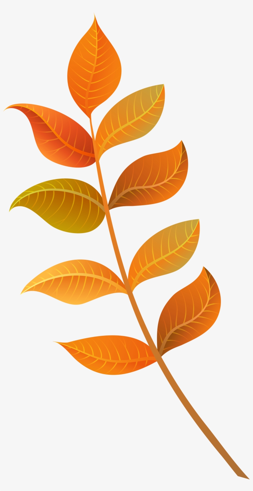 Foliage Clipart Fall Decoration - Fall Leaf Clipart, transparent png