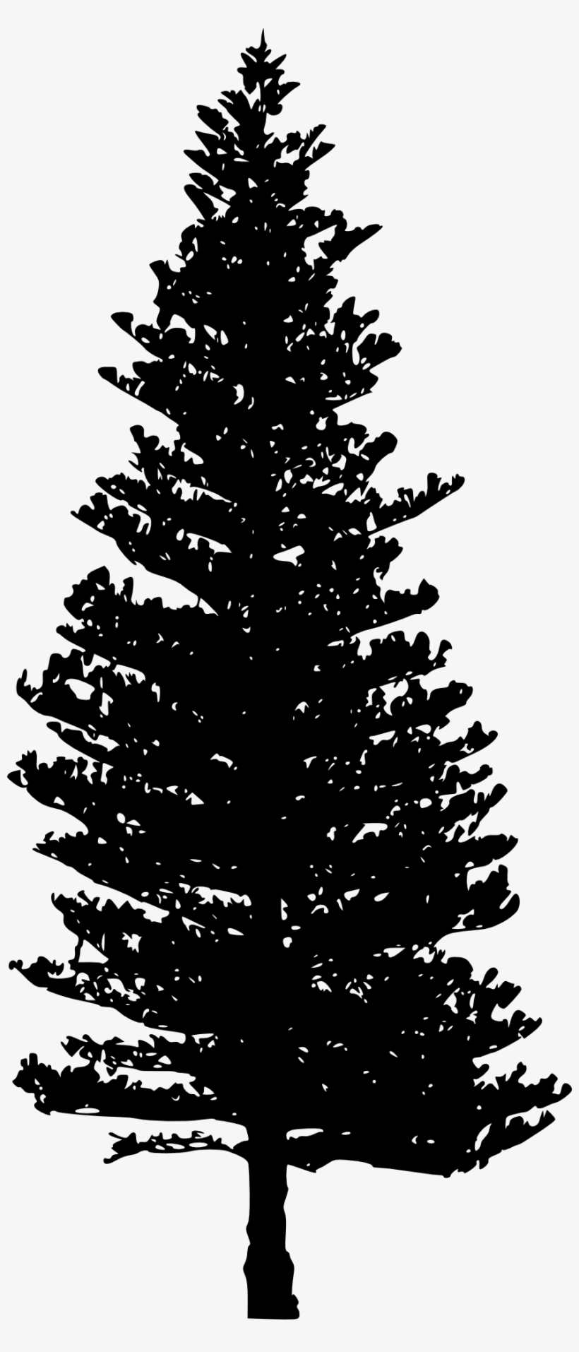 Free Download - Pine Tree Png Silhouette, transparent png