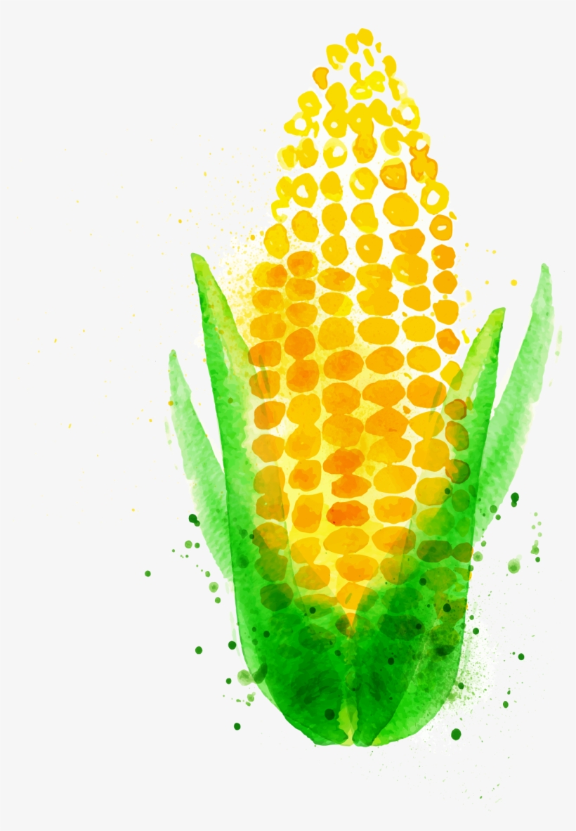 Chili Con Carne Watercolor Painting Maize Vegetable - Corn Watercolor, transparent png