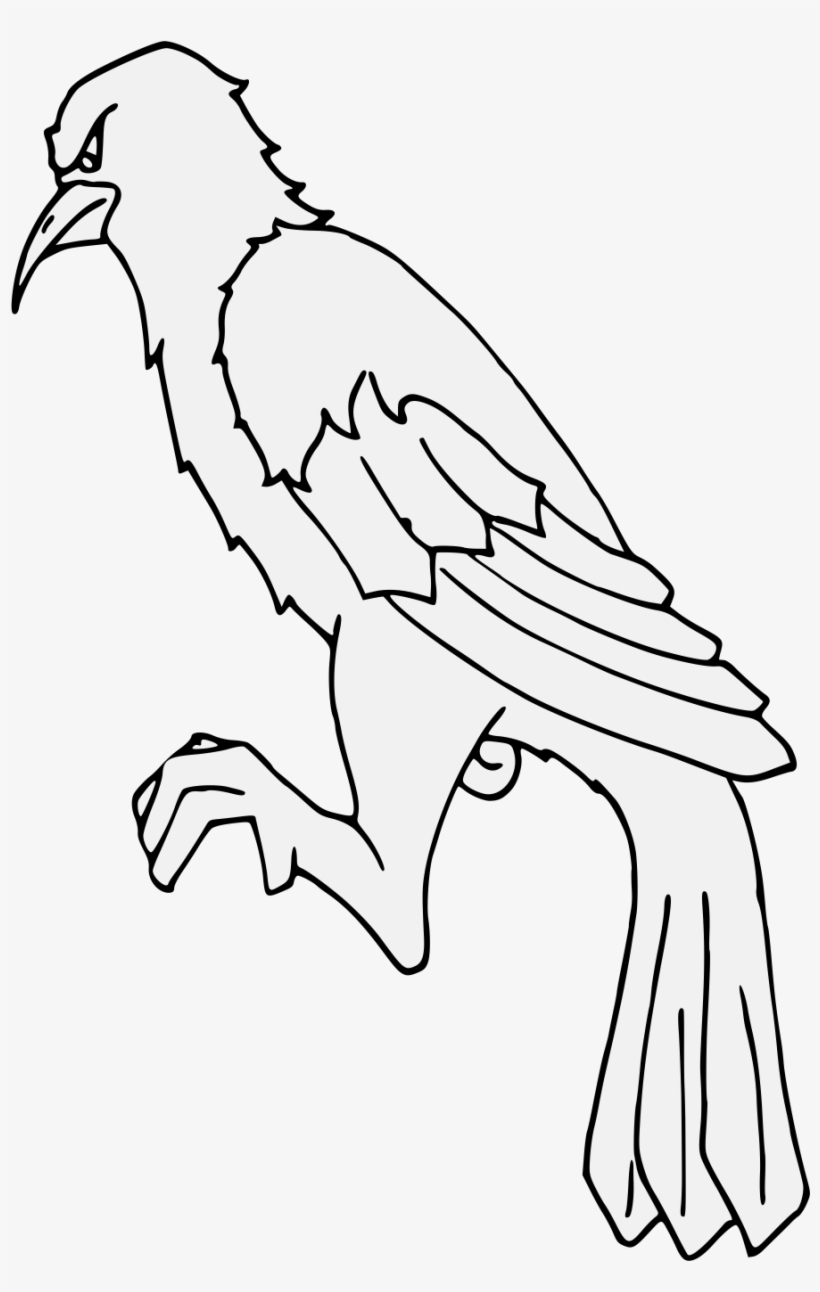 Crow - Hawk, transparent png