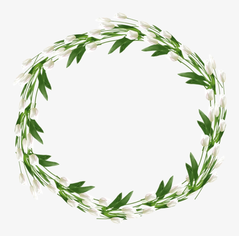 Frames Plant Illustration, Watercolor Illustration, - Corona De Olivo .png, transparent png