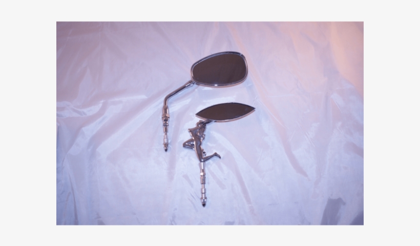 Com, The King Of Motorcycle Mirrors, Hb7777@ - Damselfly, transparent png