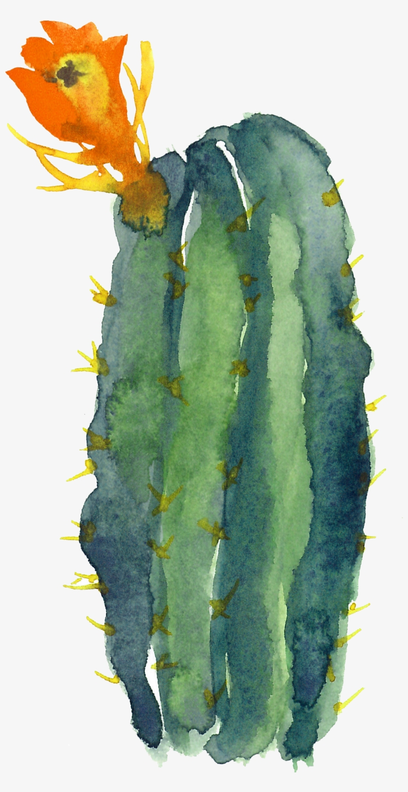 Cactaceae Modern Watercolor - 'free Totebags By Morado Designs - 'free Hugs' Cactus, transparent png