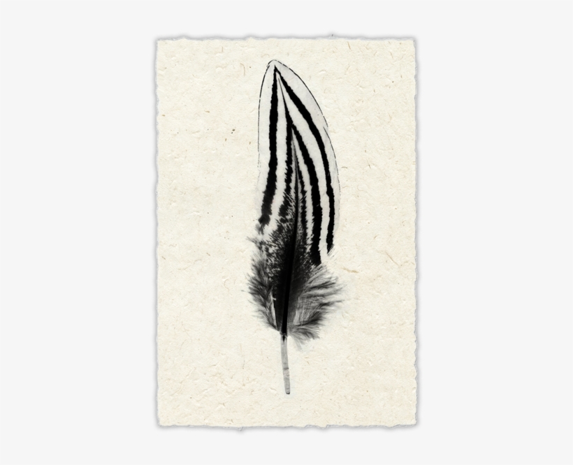 Printing, transparent png