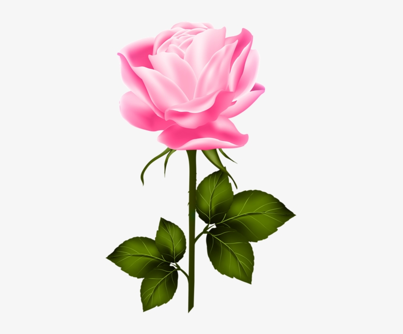Shabby Chic Flowers, Hybrid Tea Roses, Single Rose, - Yellow Rose With Stem, transparent png