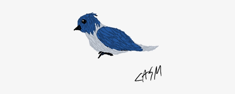 Drawingbird Explore On Deviantart - Drawing, transparent png