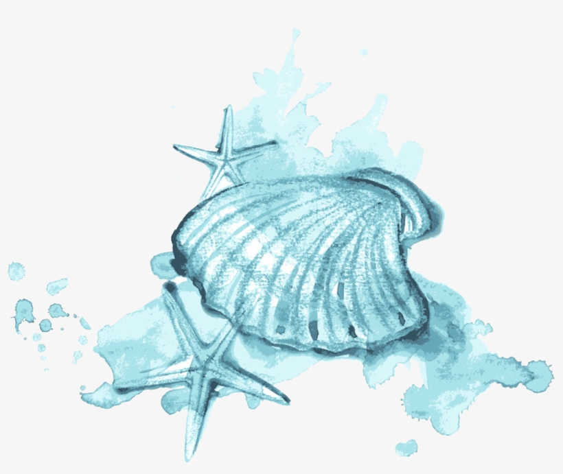 Seashell Watercolor Painting Illustration - Watercolor Painting, transparent png