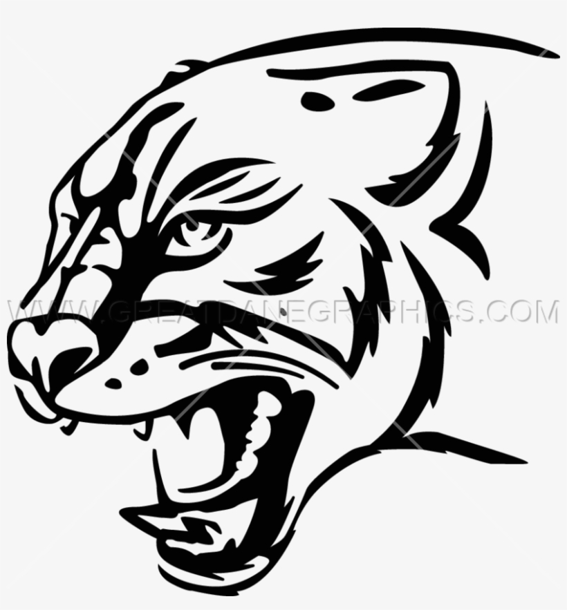 Black Panther - White Panther, transparent png