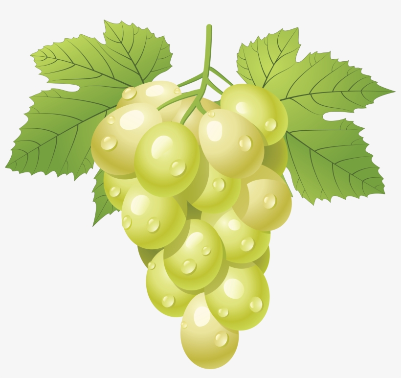 Grape Icon Png - Day On The Green 2010, transparent png