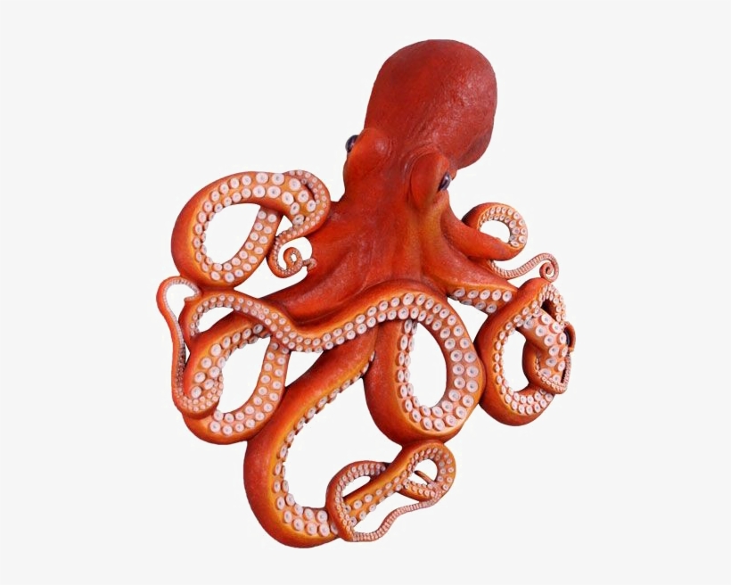Octopus Png Clipart - Octopus Image In Png, transparent png