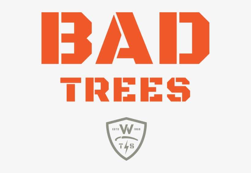 Wts Bad Trees - Wildwood Tree Service, transparent png