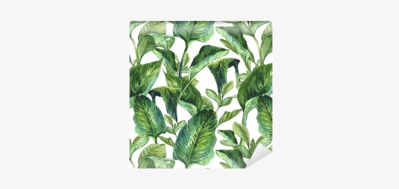 Banana Leaves Art, transparent png