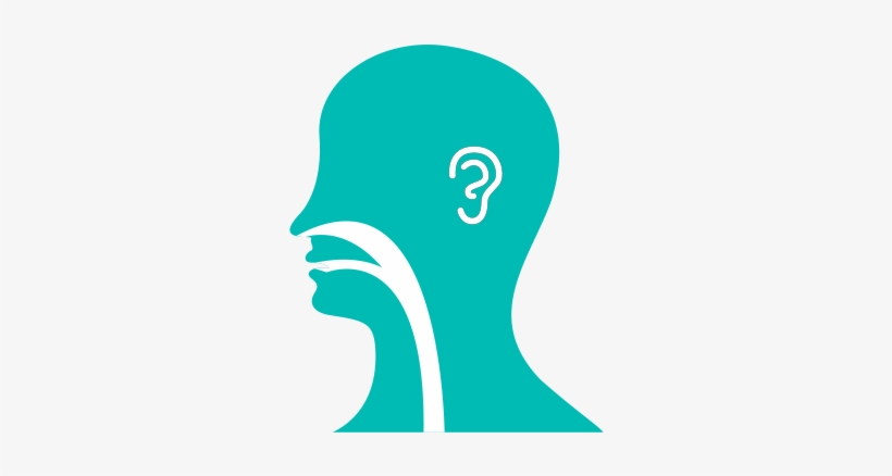 Ear, Nose, Throat Illustration - Ear Nose And Throat Logo, transparent png