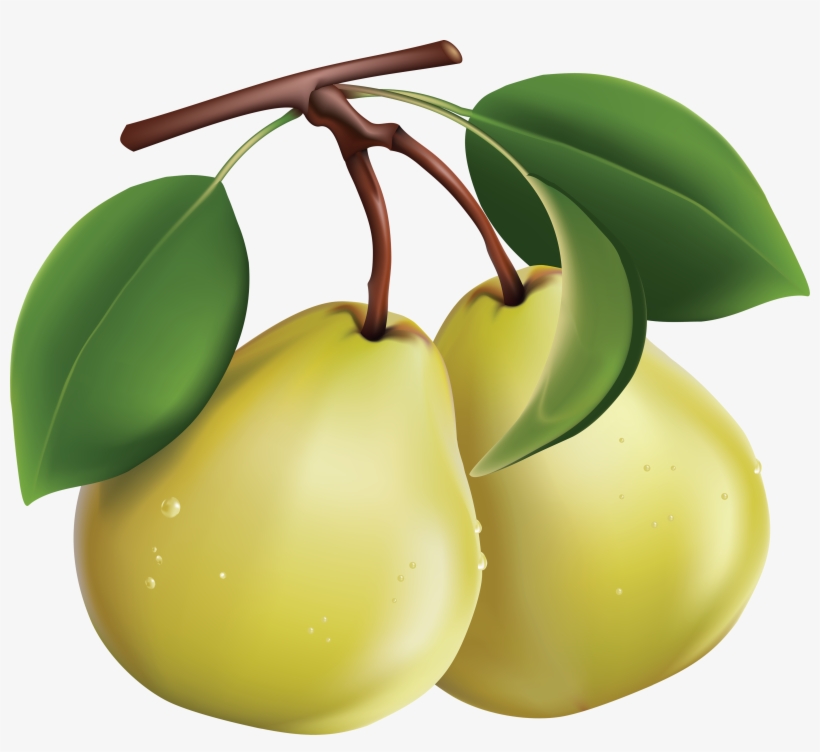 Pear Png Image - Clipart Images Of Pears, transparent png