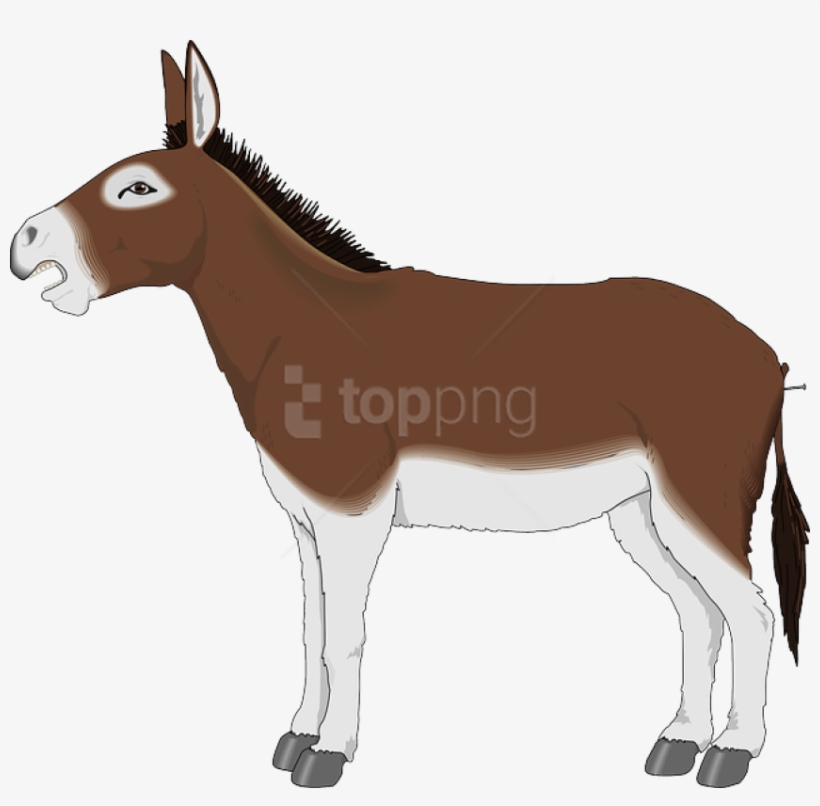 Drawing Donkey Mule Picture Royalty Free - Donkey Clipart, transparent png