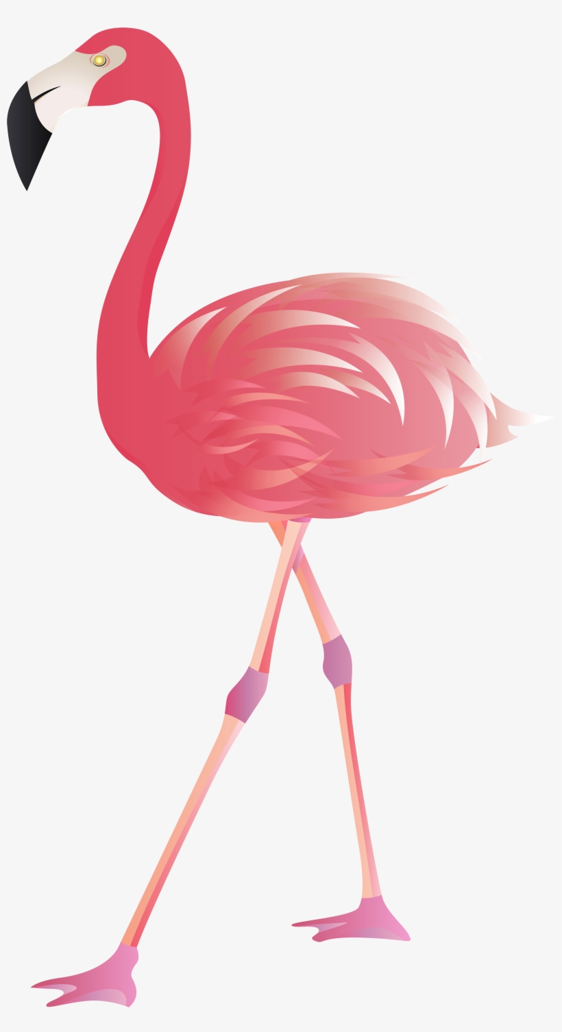 Transparent Background Flamingo Clipart, transparent png