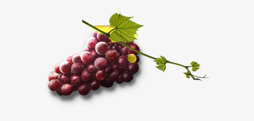 Grape Png Image Download, Free Picture - Skin, transparent png
