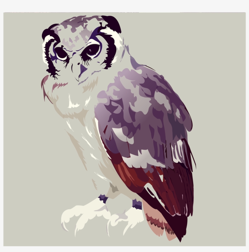 Clip Free Download Osprey Drawing Watercolor - Drawing, transparent png