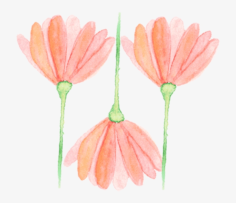 Popupflower - Portable Network Graphics, transparent png