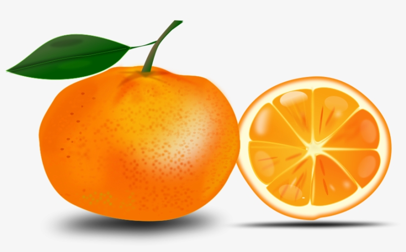 Clipart Free Download Slice Of An Orange Printables Free Clip Art Orange 900x508 PNG 