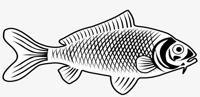 Enormous Fish Line Art On Graphic Library Techflourish - Fish Line Art Png, transparent png