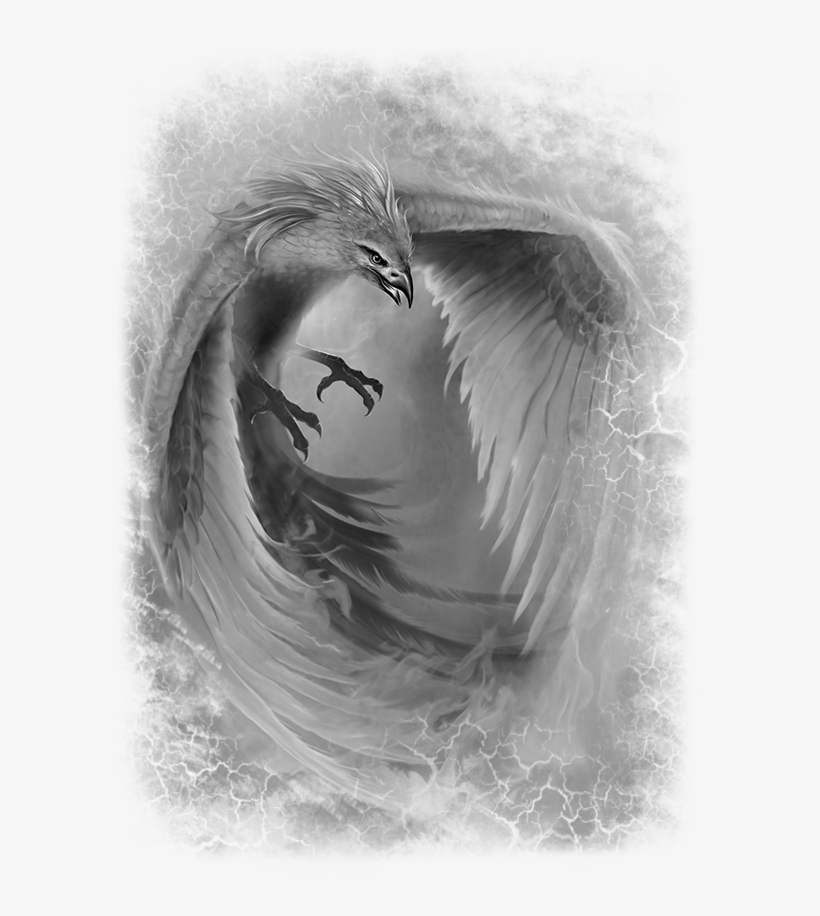 News - Pretty Bird Chicken, transparent png