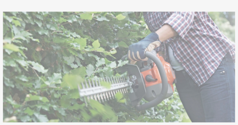 Hedge Trimmers, transparent png