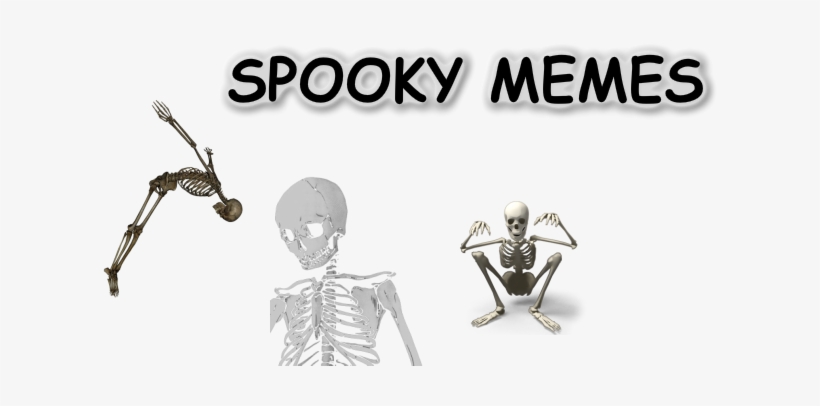 Meme, transparent png