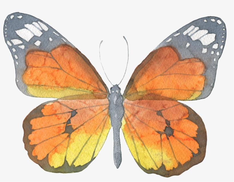 Brown Butterfly Watercolor Transparent Decorative Pattern - Butterfly Watercolor, transparent png