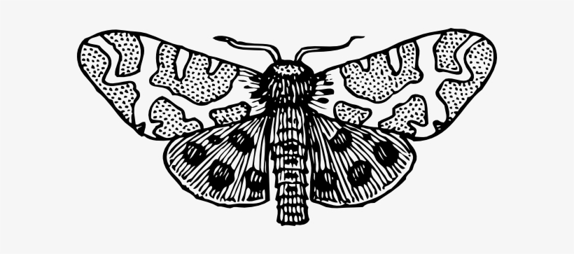 Moth Clipart Clip Art - Moth Clipart Black And White, transparent png