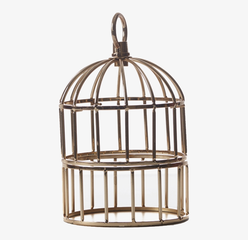 Cage Png, transparent png