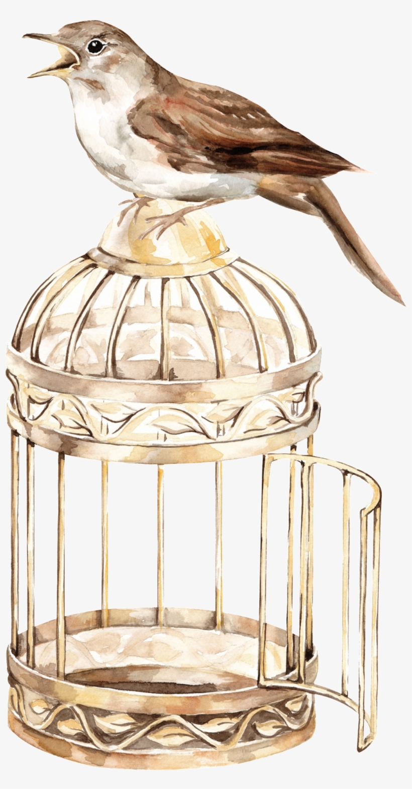 Bird Cage Transparent Background Png, transparent png