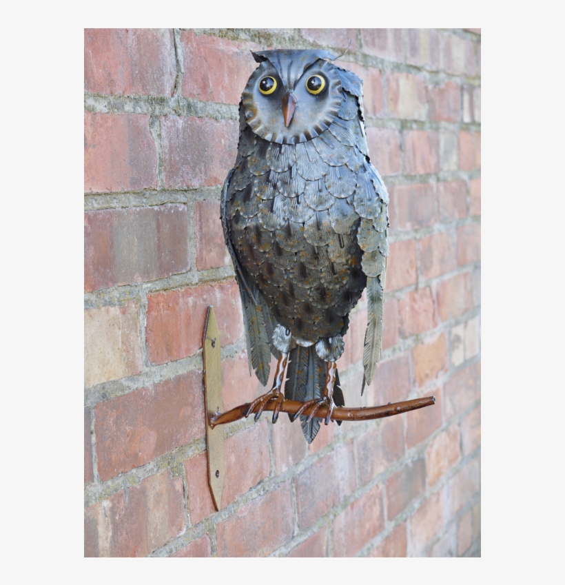 Ornament, transparent png