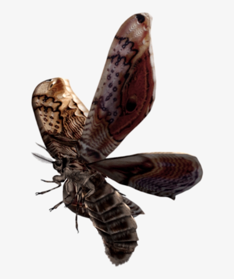 Giant Moth - Resident Evil Moth, transparent png