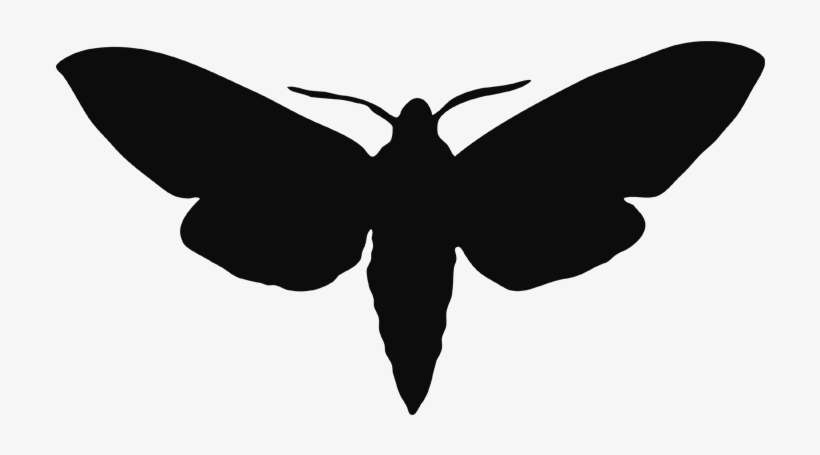 Bass Transparent Moth Banner Transparent - Moth Silhouette, transparent png