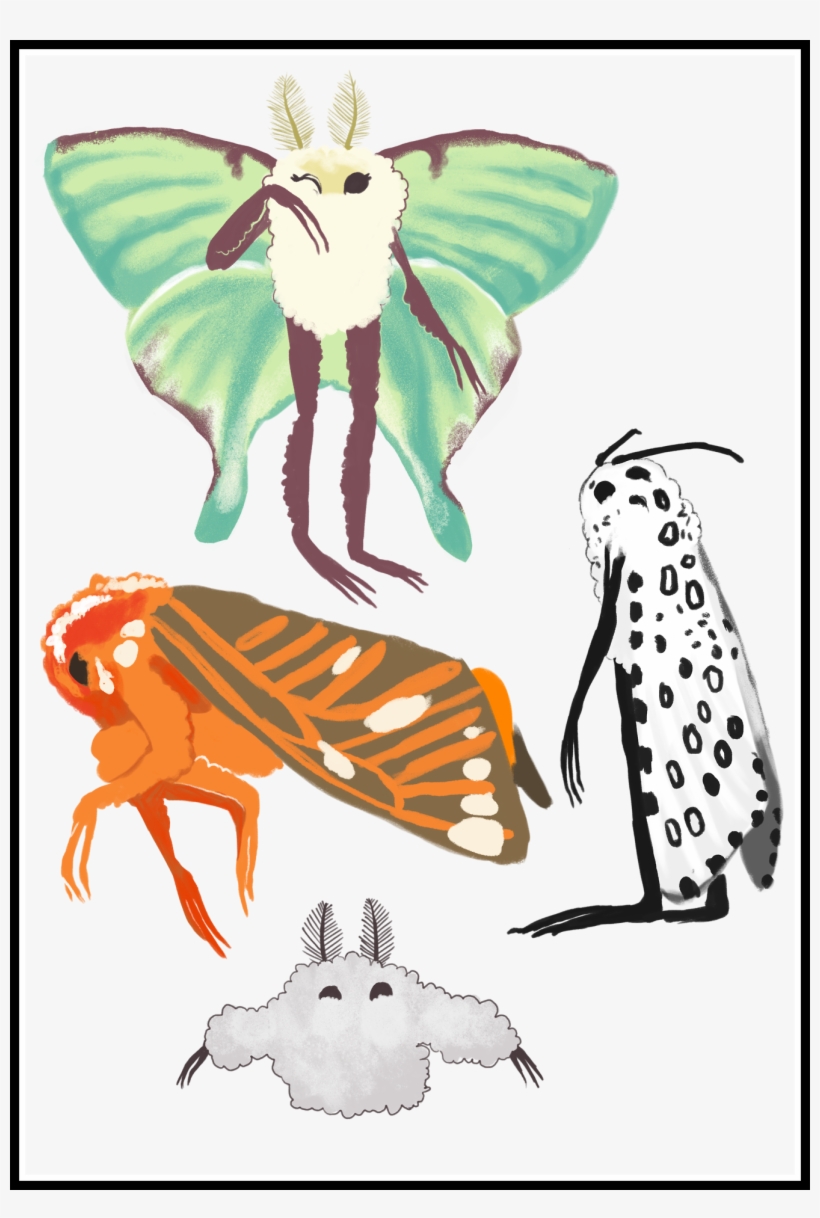 Moth Clipart Transparent Tumblr - Drawing, transparent png