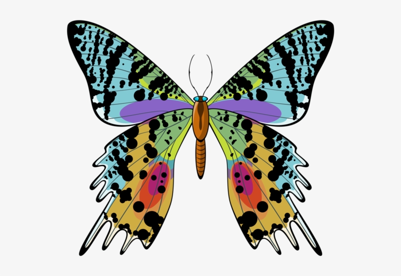 Madagascan Sunset Moth Png Clip - Urania Ripheus For Sale, transparent png
