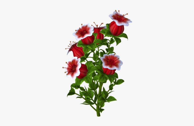 Pin By Fatma Özbulal On Çiçekler - Flower, transparent png