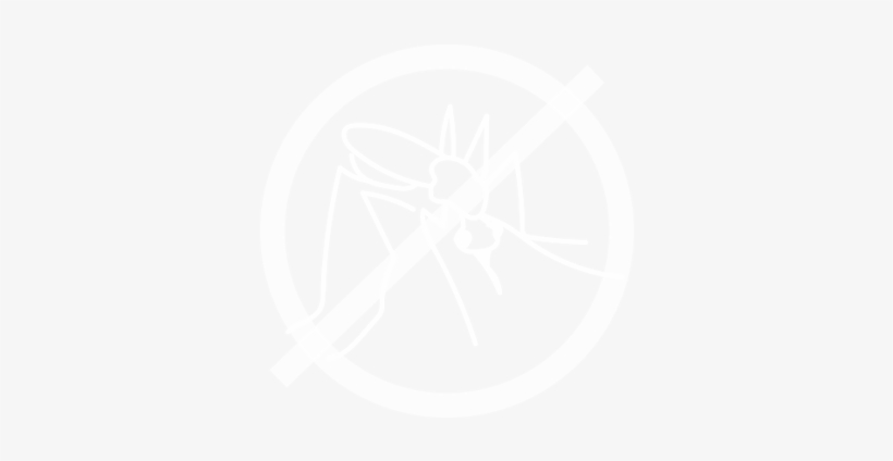 Deet Disrupts A Mosquito's Ability To Detect Carbon - Logo De Dwyane Wade, transparent png