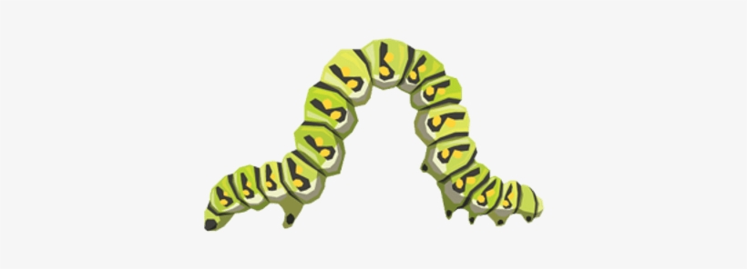 Caterpillar Png Transparent, transparent png