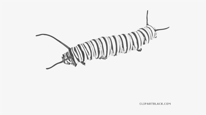 Caterpillar Butterfly Clipart - Fuzzy Caterpillar Png Transperent, transparent png