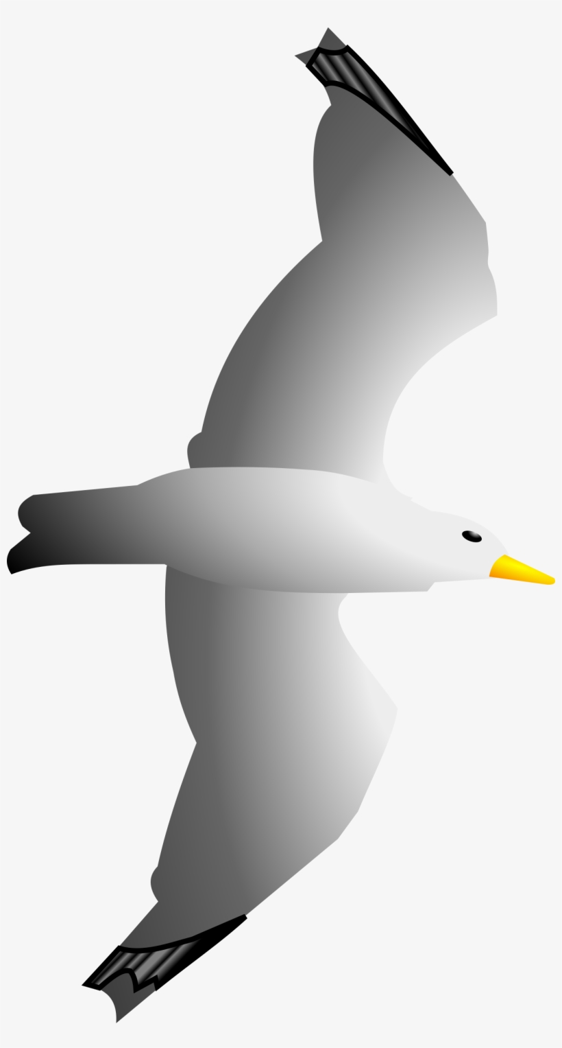 This Free Icons Png Design Of Seagull Remix, transparent png